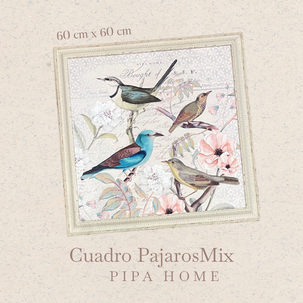 Cuadro Pájaros Mix
