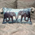 Cojín Elephant Ocean